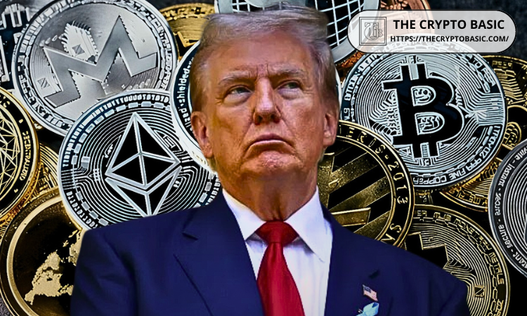 thecryptobasic.com