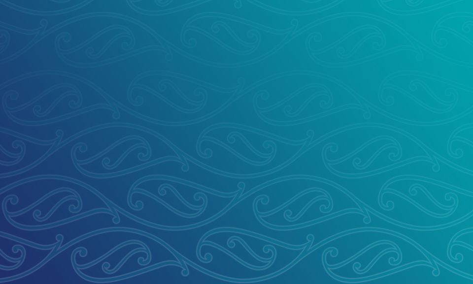 www.covid19lessons.royalcommission.nz