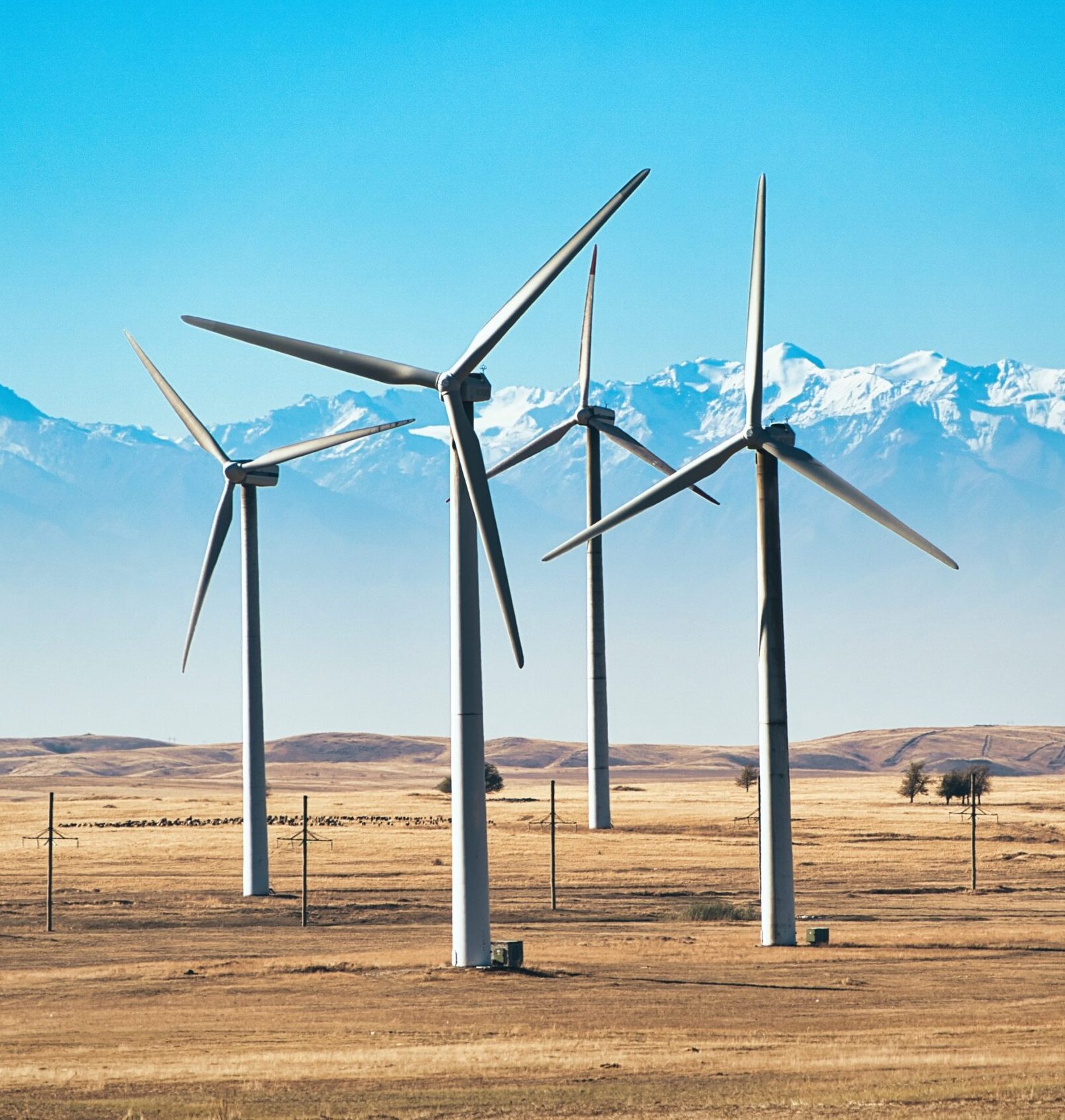 nationalinterest.org