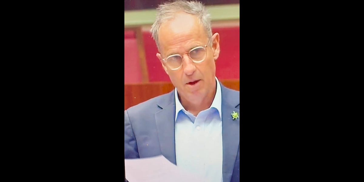 mountaintui.substack.com